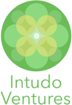 Intudo Ventures logo