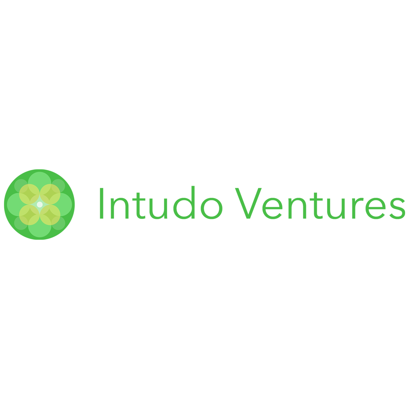 Intudo Ventures logo